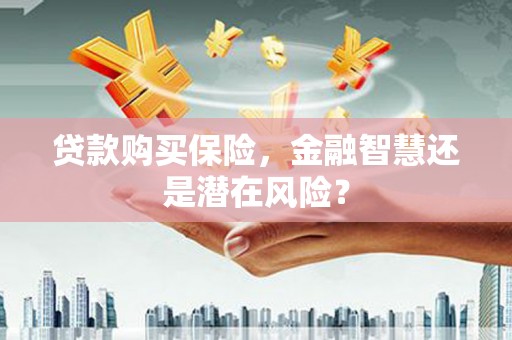 四平贷款购买保险，金融智慧还是潜在风险？
