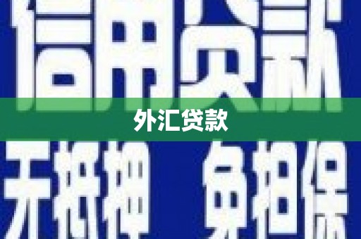四平外汇贷款