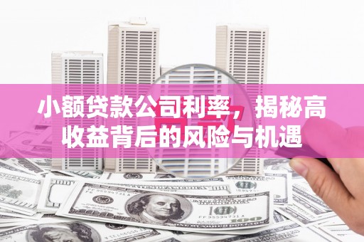 四平小额贷款公司利率，揭秘高收益背后的风险与机遇