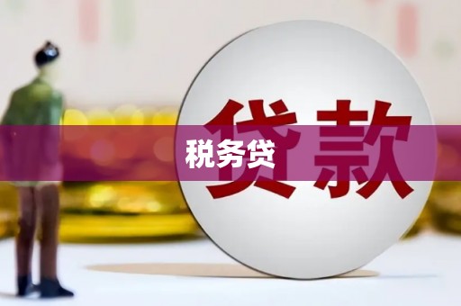四平税务贷