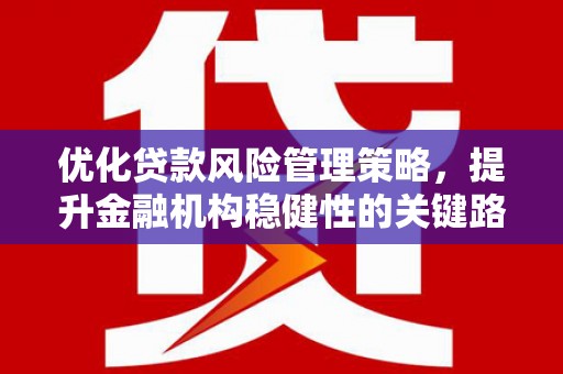 四平优化贷款风险管理策略，提升金融机构稳健性的关键路径