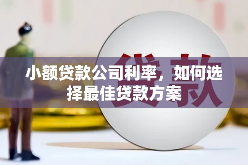 四平小额贷款公司利率，如何选择最佳贷款方案