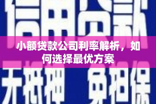 四平小额贷款公司利率解析，如何选择最优方案