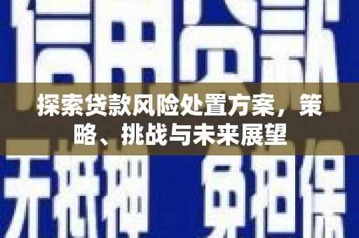 四平探索贷款风险处置方案，策略、挑战与未来展望