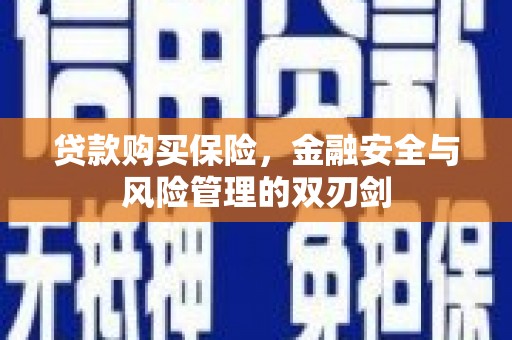 四平贷款购买保险，金融安全与风险管理的双刃剑