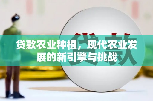 四平贷款农业种植，现代农业发展的新引擎与挑战