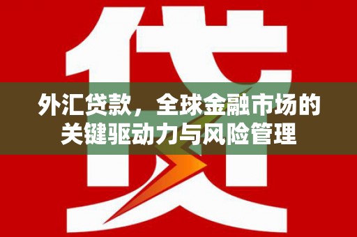四平外汇贷款，全球金融市场的关键驱动力与风险管理