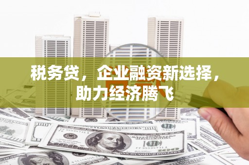 四平税务贷，企业融资新选择，助力经济腾飞