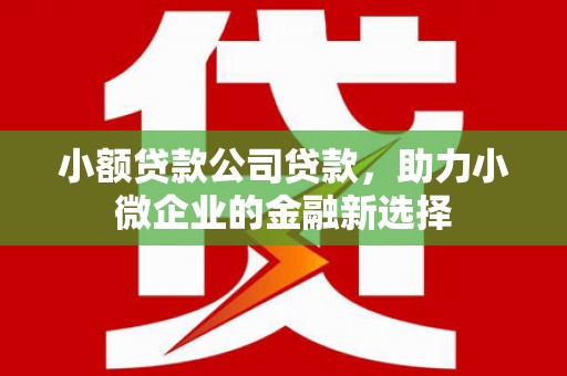 四平小额贷款公司贷款，助力小微企业的金融新选择