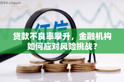 四平贷款不良率攀升，金融机构如何应对风险挑战？