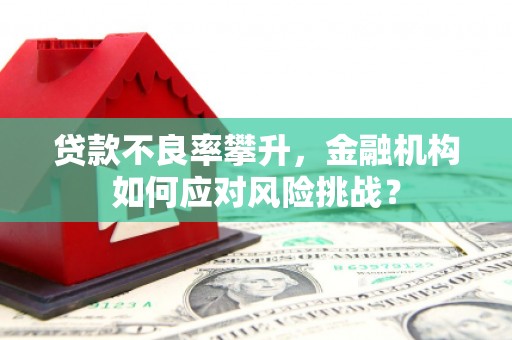 四平贷款不良率攀升，金融机构如何应对风险挑战？