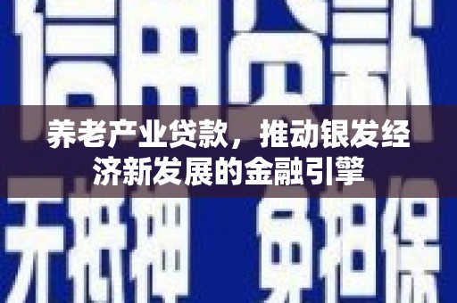 四平养老产业贷款，推动银发经济新发展的金融引擎