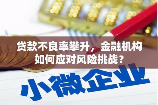 四平贷款不良率攀升，金融机构如何应对风险挑战？