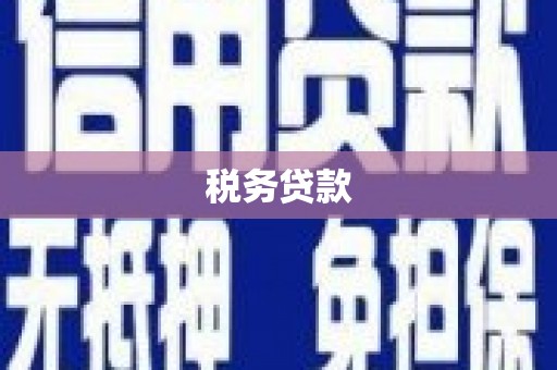 四平税务贷款