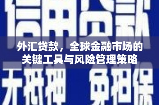 四平外汇贷款，全球金融市场的关键工具与风险管理策略