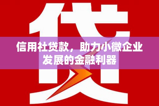 四平信用社贷款，助力小微企业发展的金融利器