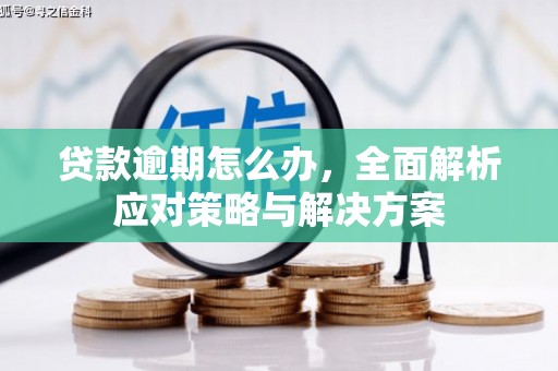 四平贷款逾期怎么办，全面解析应对策略与解决方案