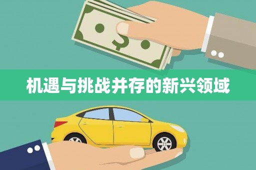 四平机遇与挑战并存的新兴领域